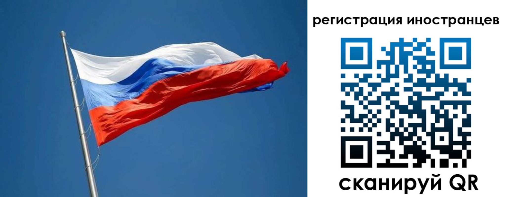 прописка в Мурманской области